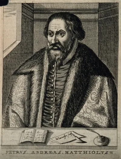 Pietro Andrea Mattioli
