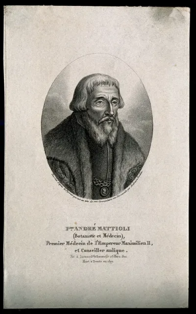 Pietro Andrea Mattioli