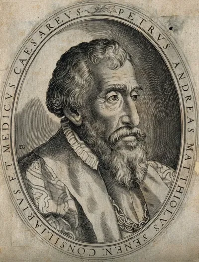 Pietro Andrea Mattioli