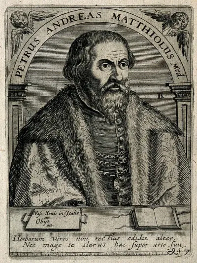 Pietro Andrea Mattioli