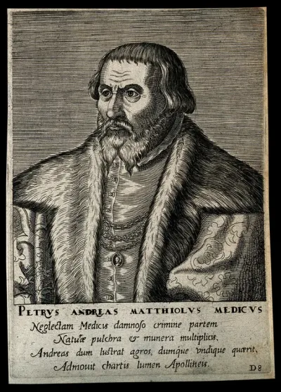 Pietro Andrea Mattioli