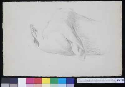 Pig's head with protruding lower jaw