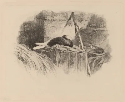 Pigeon sur un nid