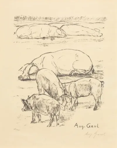 Pigs