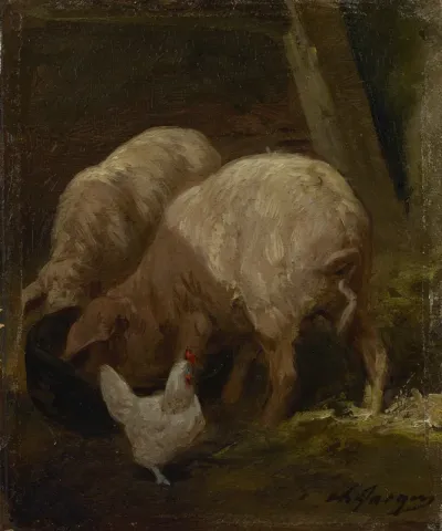 Pigs