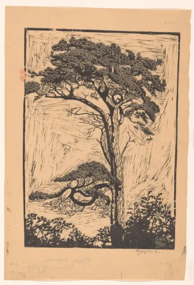 Pijnboom