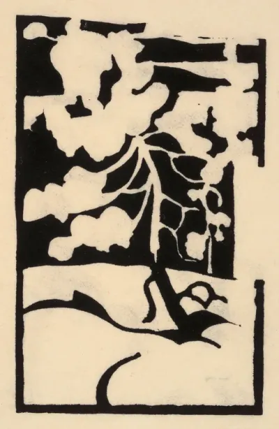 Pine