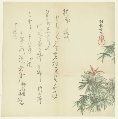 Pine Trees
