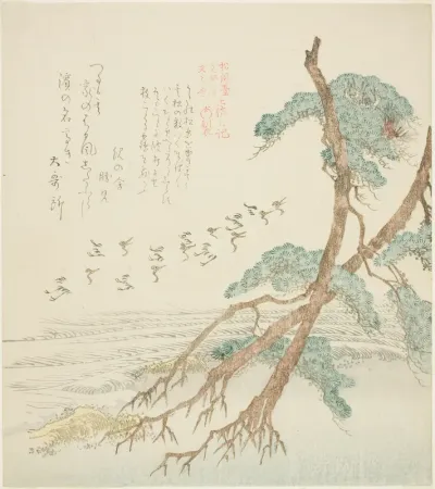 Pine Trees, from the series "Tosa Diary for the Shofudai, Hisakataya, and Bunbunsha (Shofudai Hisakataya Bunbunsha Tosa nikki)"