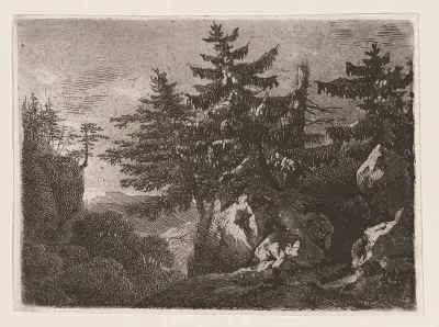 Pines on a Mountaintop at Night