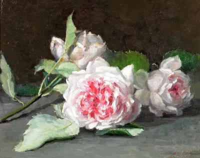 Pink flowers on a table.