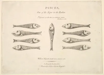 Pisces: Hogarth's Quadrille Fish