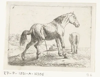 Pissend paard