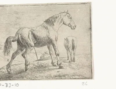 Pissend paard