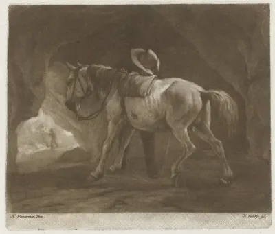 Pissend paard