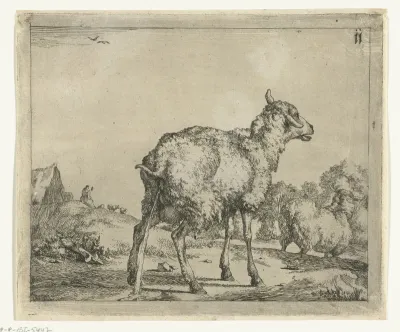 Pissend schaap