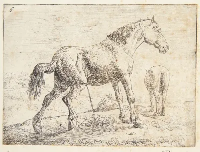 Pissende hest, i baggrunden en hest set bagfra og en hvilende mand