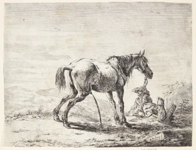 Pissende hest