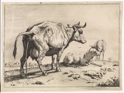 Pissende koe