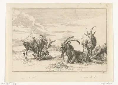 Pissende ooi en drie geiten