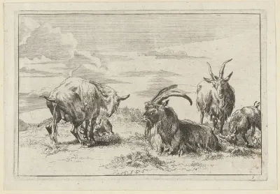 Pissende ooi met drie geiten
