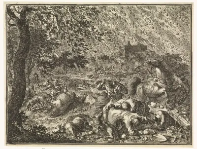 Plaag van de hagel