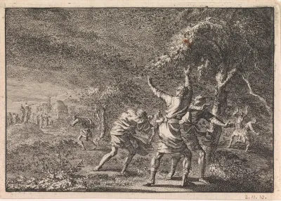 Plaag van de sprinkhanen