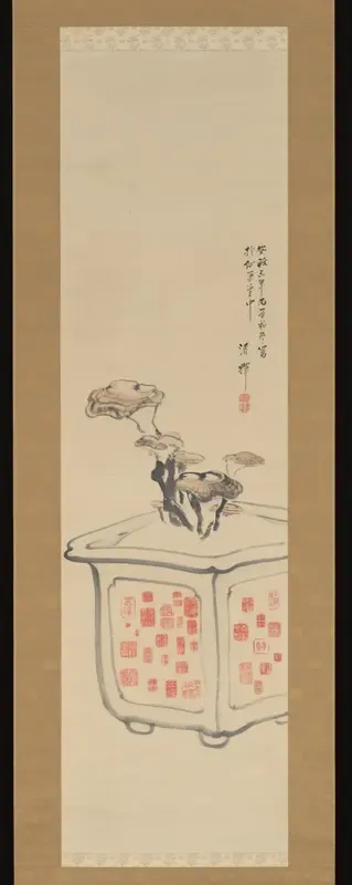 Plant and Seals
