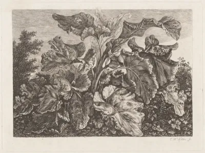 Plant Study with Burdock