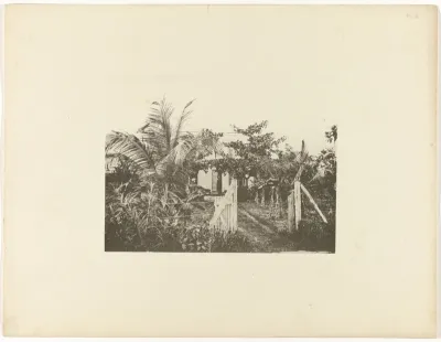 Plantage Kroonenburg, Suriname