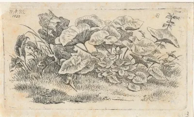 Planten