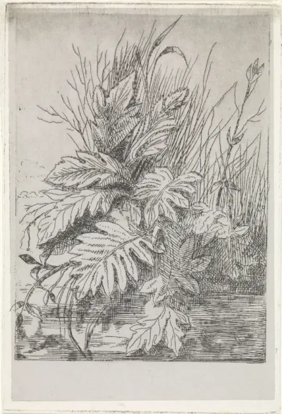 Planten