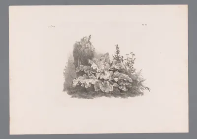 Planten bij een boom
