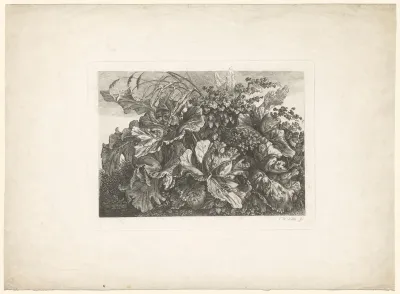 Planten en bladeren
