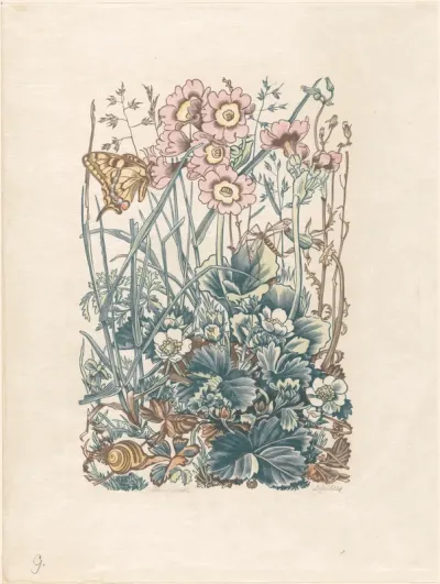 Planten en grassen