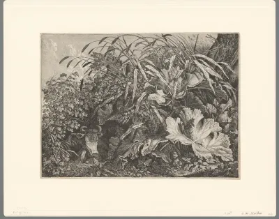 Planten en liggend rund
