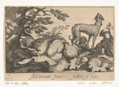 Planten, honden en een man