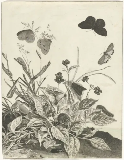 Planten met vlinders en rupsen