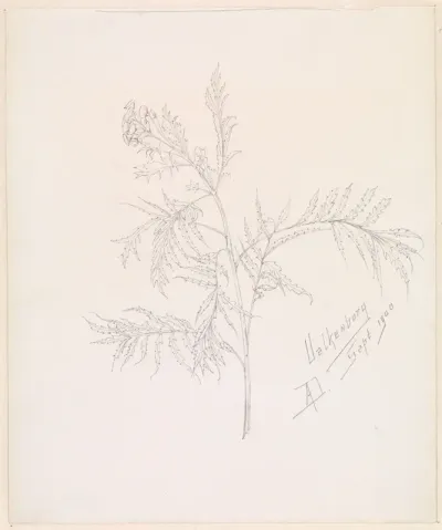 Plantenstudie