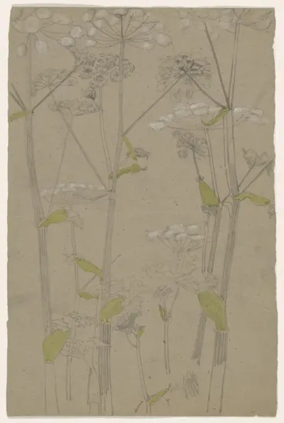 Plantenstudie