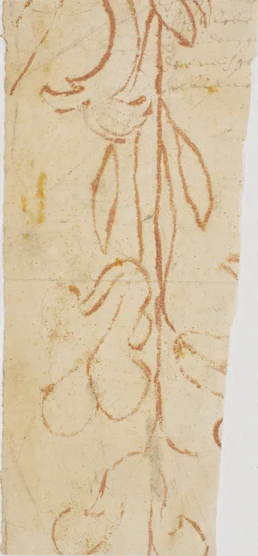 Planteornament (fragment)