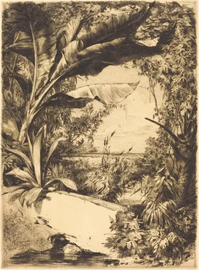 Plantes de Serre
