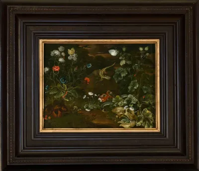 Plants and animals