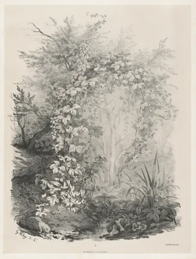 Plants and Ivies by a Stream