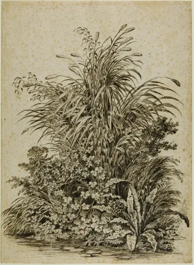 Plants at Water's Edge