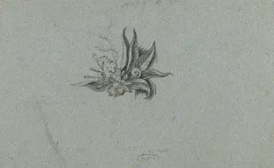 Plantstudie