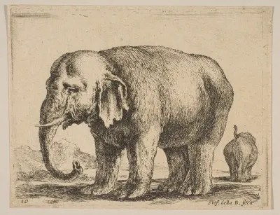 Plate 10: Elephant, from "Various animals" (Diversi animali)