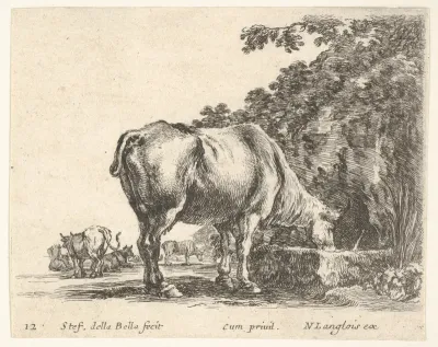 Plate 12: a cow drinking from a stone trough, other cows to left in background, from "Diversi Capricci"