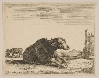 Plate 13: Buffalo lying down, from "Various animals" (Diversi animali)
