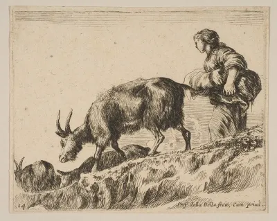 Plate 14: Shepherdess herding goats, from "Various animals" (Diversi animali)